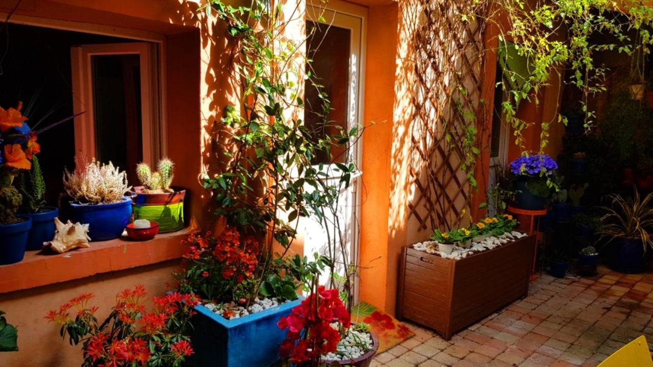 Petit Patio En Centre Nimes